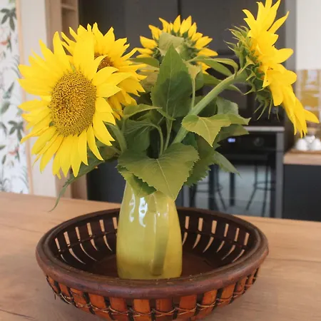 Gæstehus Le Loft De Nana 3*